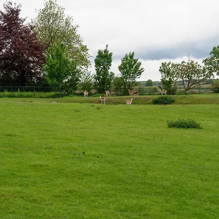 In Voerendaal With Garden Holiday home *